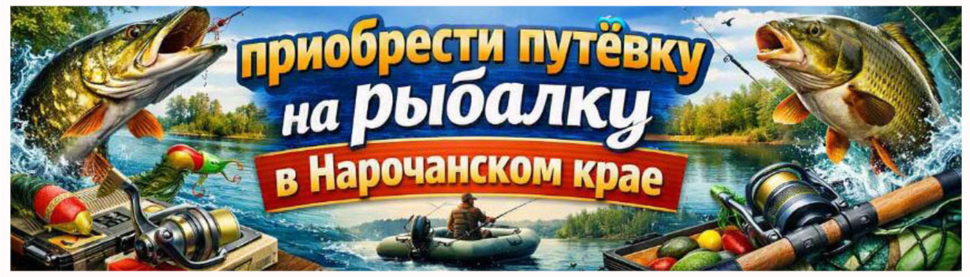 путевка